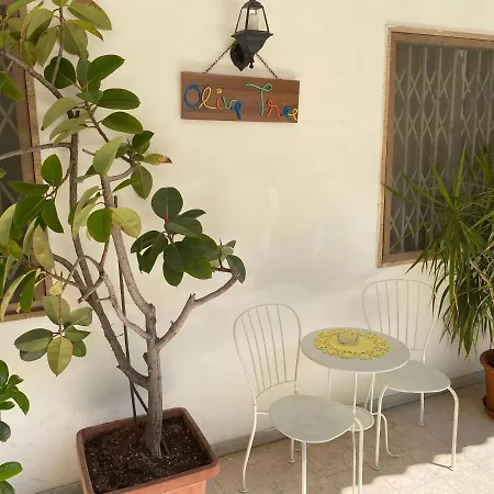 Hostel Olive Tree