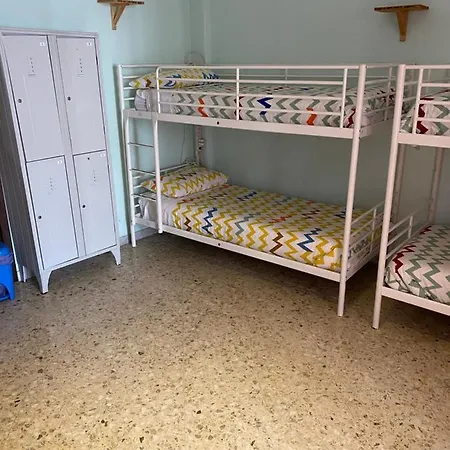 Olive Tree Hostel *