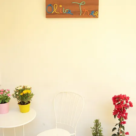 Olive Tree * Μπάρι