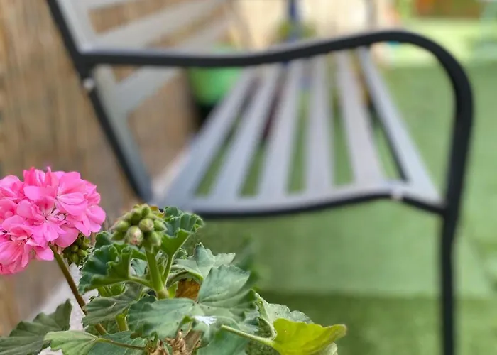 Olive Tree אכסניה *