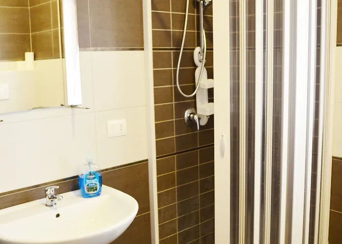 Olive Tree * בארי