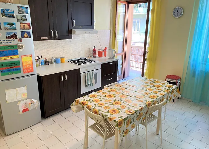 Olive Tree * בארי