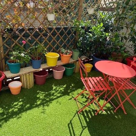 Olive Tree Hostel *
