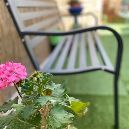 Olive Tree Auberge de jeunesse *