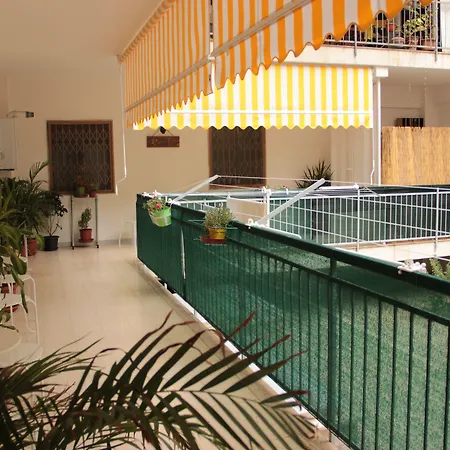 Olive Tree Hostel