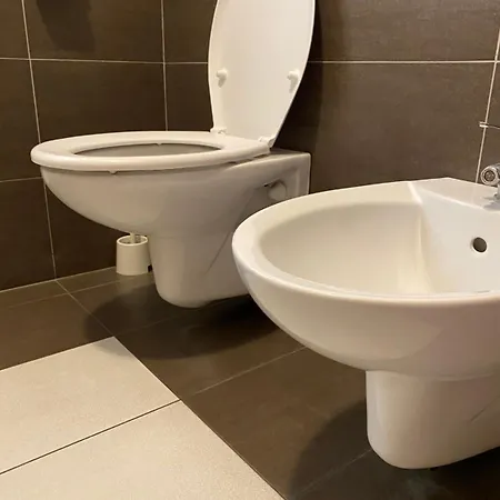 Olive Tree * Бари