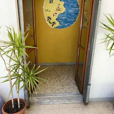 Olive Tree Hostel