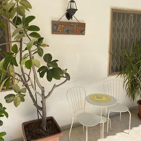 Olive Tree * Bari