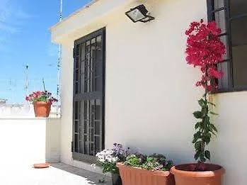 Olive Tree بيت شباب